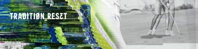 Kelly Kikuta profile background