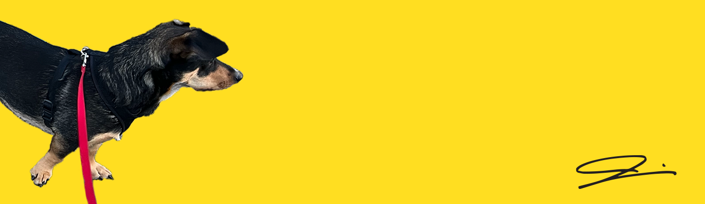 Jared Milazzo profile background