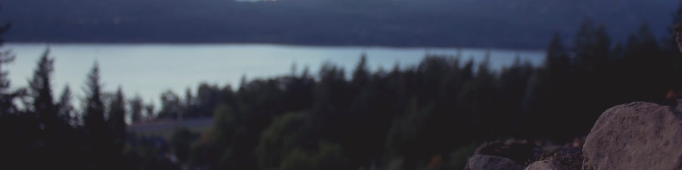 Ryan Troiano profile background