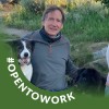 Phil Davy profile photo