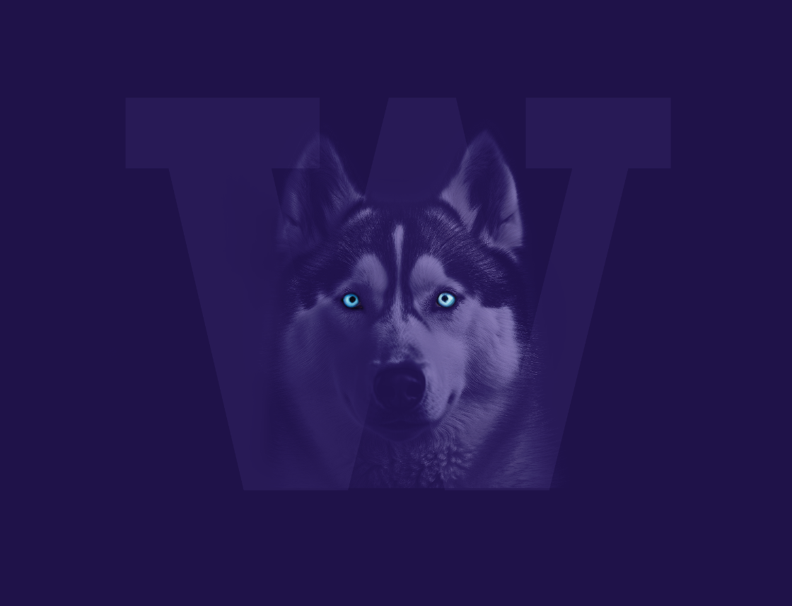 project thumbnail