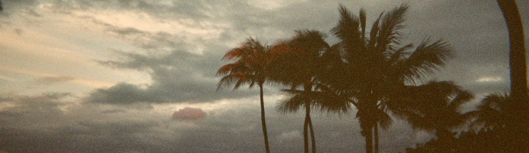 Domenique Stevens profile background