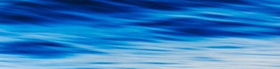 Sean Keough profile background