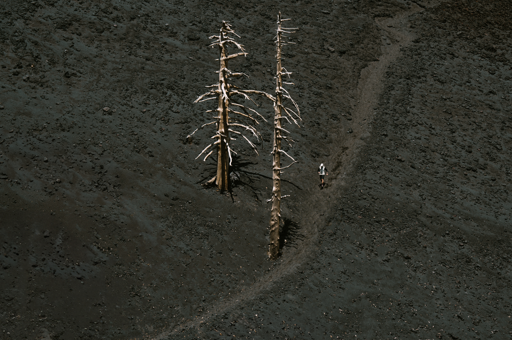 project thumbnail