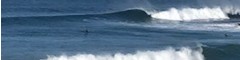 Mike Kenney profile background