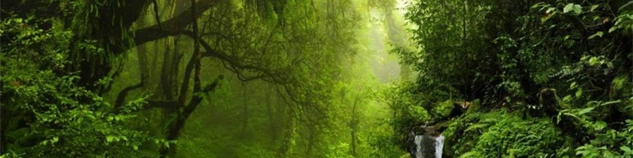 Judit Csotsits profile background
