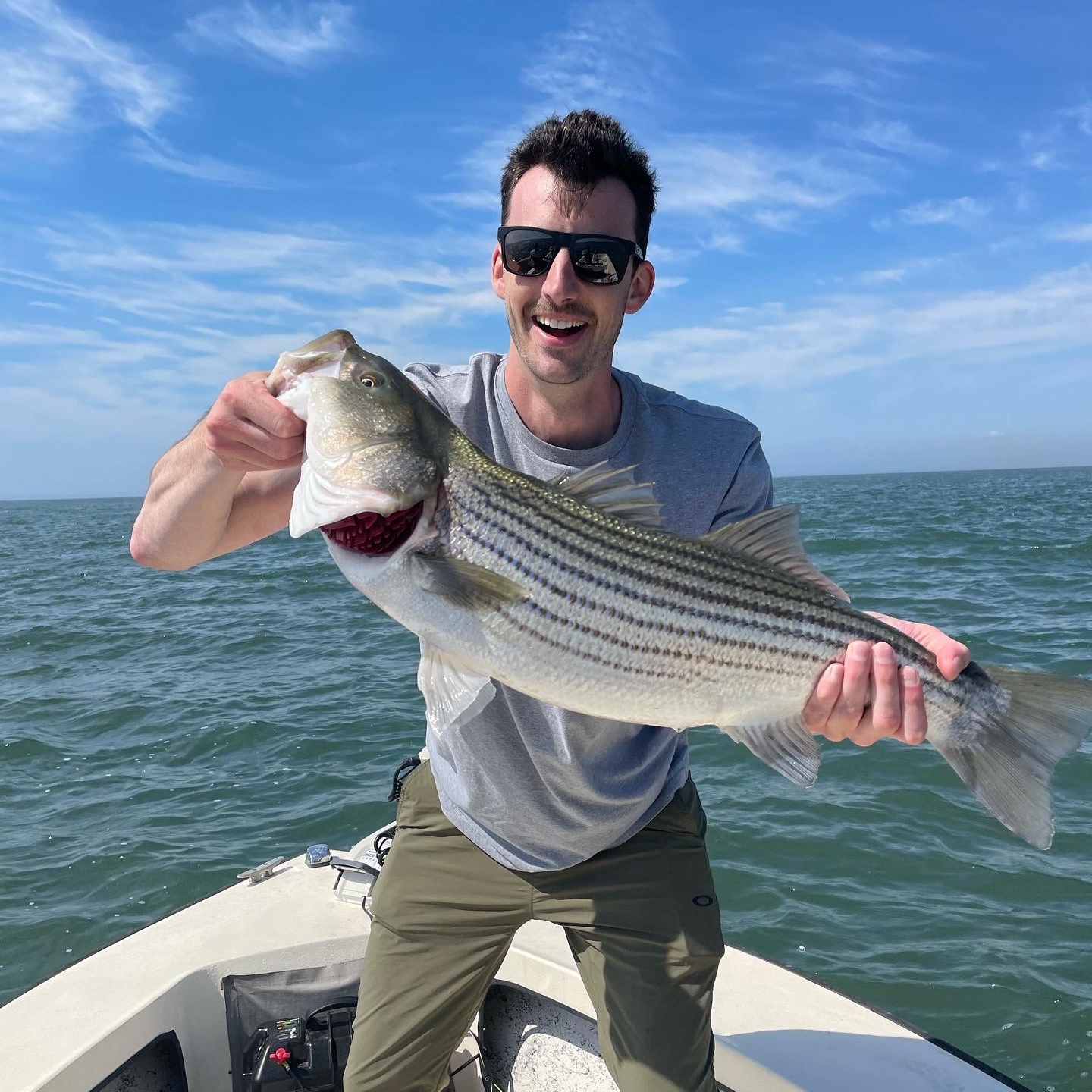 Colin Heston profile photo