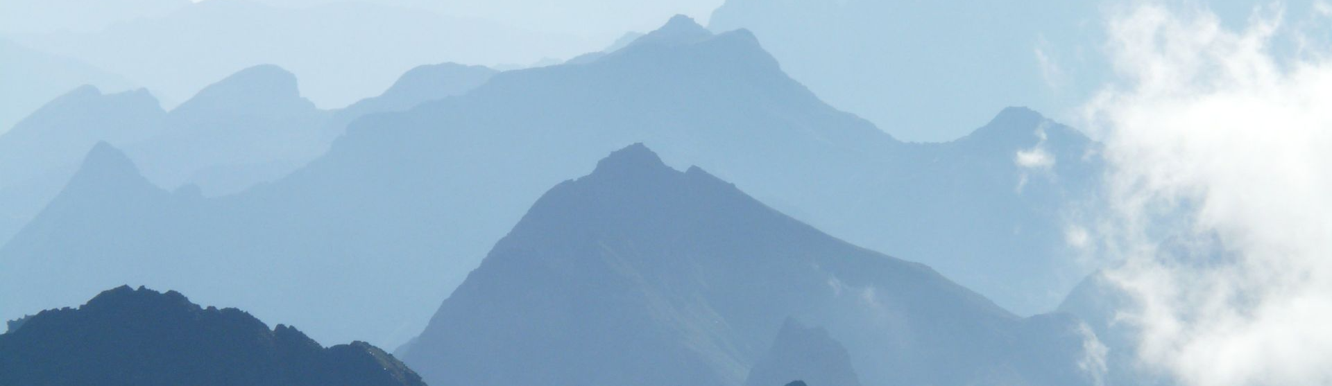 Anne Hinman profile background