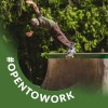 Stefan Werba profile photo