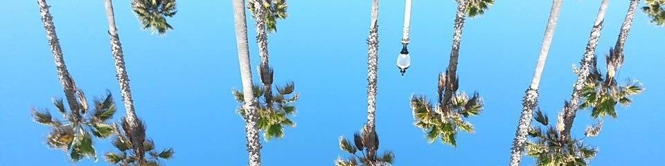 Brian Foster profile background