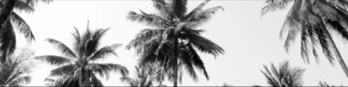 Katie Wilder profile background