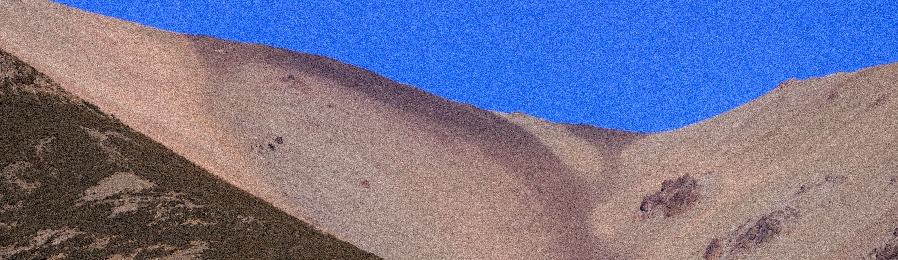 Cameron Mincar profile background