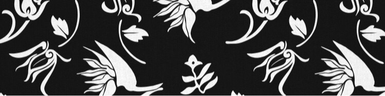 Peter Osuna profile background