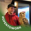 Dan Downing profile photo