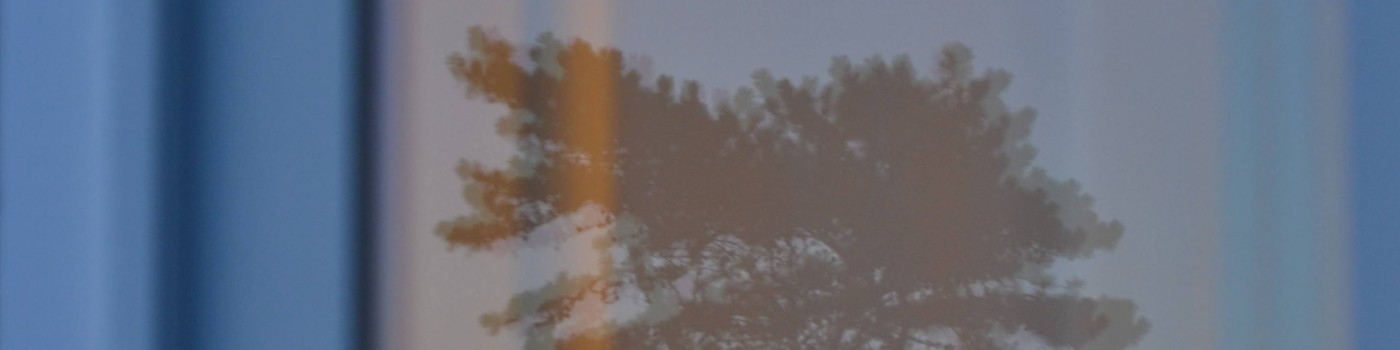 Roy Srour profile background